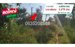 ขายที่ดิน มรกต