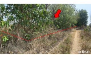 ทรัพย์สถาบันโดย บริษัท บริหารสินทรัพย์สุขุมวิท จำกัด ที่ดิน ถนนบ้านหนองบัว