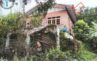 ทรัพย์สถาบันโดย อาคารสงเคราะห์ บ้านเดี่ยว กลางน้อย