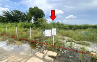 ทรัพย์สถาบันโดย บริษัท บริหารสินทรัพย์สุขุมวิท จำกัด ที่ดิน สินพัฒนาธานี