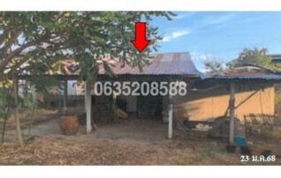 ขายบ้านเดี่ยว ถนนสายบ้านชะโด-บ้านฮ่องสัง (รอ.3012)
