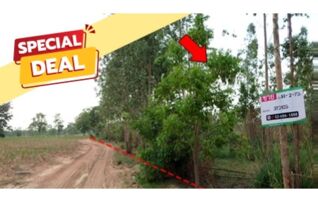 ทรัพย์สถาบันโดย บริษัท บริหารสินทรัพย์สุขุมวิท จำกัด ที่ดิน ถนนสายบ้านโป่งคองเหนือ-บ้านเขว้า (ชย.3007)