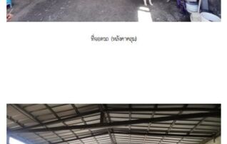 ทรัพย์สถาบันโดย SCB บ้านเดี่ยว บ้านเดี่ยว บางขุนเทียน-กรุงเทพฯ