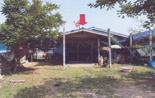ทรัพย์สถาบันโดย GHB บ้านเดี่ยว โคกแปะ