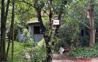 ทรัพย์ธนาคารโดย KASIKORNBANK บ้านเดี่ยว ถนนสันเหมืองเหนือ