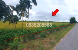 ขายที่ดิน ถนนเลียบคลองชลประทาน