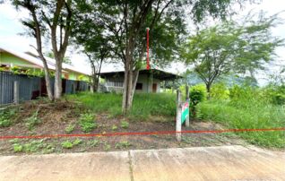 ทรัพย์ธนาคารโดย KASIKORNBANK บ้านเดี่ยว ถนนสายหันคา - บ้านไร่ (ทล.3211)