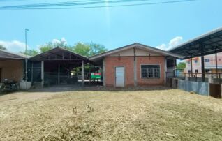 ทรัพย์ธนาคารโดย KASIKORNBANK บ้านเดี่ยว ถนนสายบ้านหัวถนน-บ้านไดตามุ่ย
