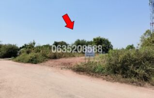 ขายที่ดิน ซอยเทียนทะเล 24 ถนนบางขุนเทียน-ชายทะเล