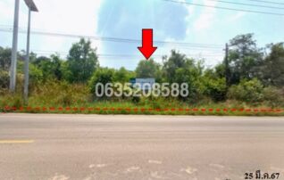 ขายที่ดิน ถนนสายดอนโมง-นาคู