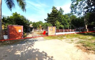 ทรัพย์ธนาคารโดย KASIKORNBANK บ้านเดี่ยว ซอยดาวเรือง ถนนหนองหาร-ป่าไผ่(ชม.2009)