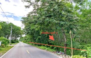 ทรัพย์ธนาคารโดย KASIKORNBANK ที่ดิน ถนนสายบ้านทุ่งควาย - บ้านพรุเตียว