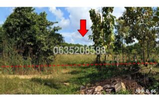 ขายที่ดิน ถนนลำปาง-ห้างฉัตร (ทล.1039)
