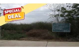 ทรัพย์สถาบันโดย บริษัท บริหารสินทรัพย์สุขุมวิท จำกัด ที่ดิน ปึกเตียนธรรม ปึกเตียนทอง (โครงการ ปึกเตี