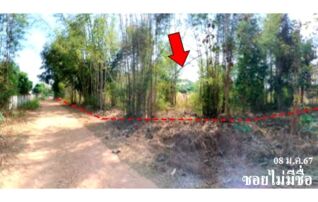 ทรัพย์สถาบันโดย บริษัท บริหารสินทรัพย์สุขุมวิท จำกัด ที่ดิน ถนนบ้านหนองเหียง หมู่ที่ 2