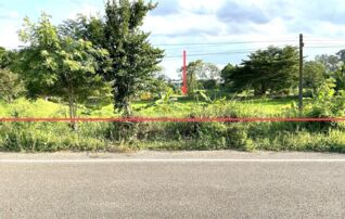 ทรัพย์ธนาคารโดย KASIKORNBANK ที่ดิน ถนนทางหลวงชนบทสาย (กส.3063)