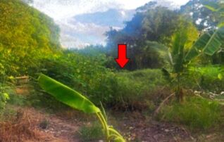 ทรัพย์สถาบันโดย บริษัท บริหารสินทรัพย์สุขุมวิท จำกัด ที่ดิน ถนนเลียบคลองรังสิต