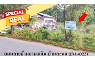 ทรัพย์สถาบันโดย บริษัท บริหารสินทรัพย์สุขุมวิท จำกัด ที่ดิน ถนนสายบ้านยามูเฉลิม-บ้านสะนอ (ปน.4022)