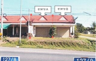 ทรัพย์สถาบันโดย  ตึกแถว-อาคารพาณิชย์