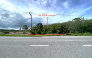 ทรัพย์ธนาคารโดย KASIKORNBANK ที่ดิน ถนนสายจะนะ - ปัตตานี (ทล.43)