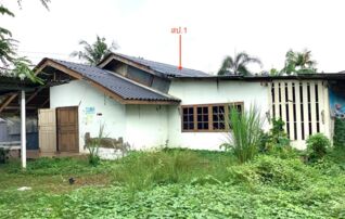 ทรัพย์ธนาคารโดย KASIKORNBANK บ้านเดี่ยว ถนนสายเพชรเกษม-หนองจอก