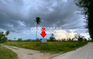 ขายที่ดิน - ปุ่มมะค่า ซอย 2