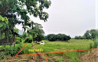 ทรัพย์ธนาคารโดย KASIKORNBANK ที่ดิน ถนนสายท่าลี่ - อาฮี (ทล.2195)