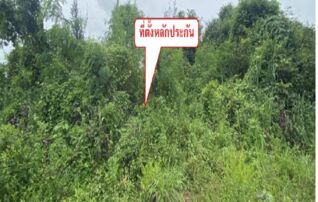 ทรัพย์สถาบันโดย GHB ที่ดิน บัวเหลี่ยมเพชร