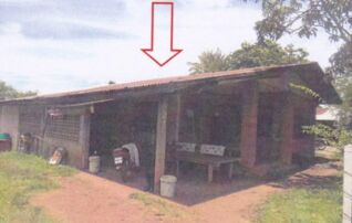 ทรัพย์สถาบันโดย อาคารสงเคราะห์ บ้านเดี่ยว นาพู่