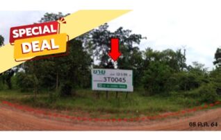ทรัพย์สถาบันโดย บริษัท บริหารสินทรัพย์สุขุมวิท จำกัด ที่ดิน ถนนสายชัยภูมิ-หนองบัวแดง (ทล.2159)
