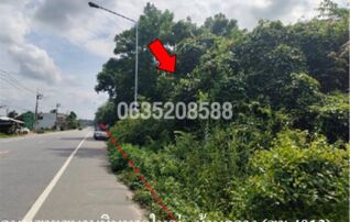 ขายที่ดิน ถนนสายบ้านกลาง-สนามบินหาดใหญ่ (สข.1013)