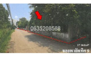 ขายบ้านเดี่ยว ซอยพายัพทิศ 9 ถนนพายัพทิศ