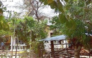 ทรัพย์สถาบันโดย GHB บ้านเดี่ยว หนองบึง