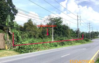 ทรัพย์ธนาคารโดย KASIKORNBANK ที่ดิน ถนนเพชรเกษม (ทล.4)
