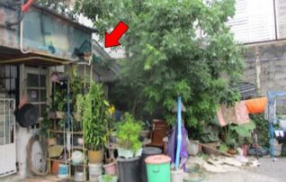 ทรัพย์สถาบันโดย บริษัท บริหารสินทรัพย์สุขุมวิท จำกัด ทาวน์เฮาส์ รัชนี วิลล่า