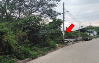 ขายที่ดิน สุทัศนาถ