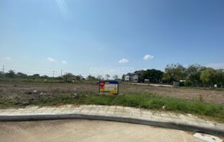 💖 ที่ดิน บางพลี ราคาพิเศษ! 💖