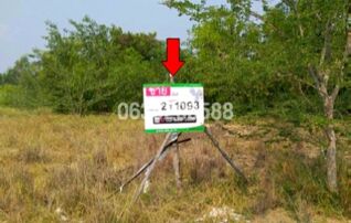 ขายที่ดิน ถนนสายบ้านสาลี-อยุธยา (ทล.3263)