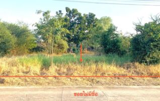 ทรัพย์ธนาคารโดย KASIKORNBANK ที่ดิน ถนนสายนครสวรรค์ - กำแพงเพชร (ทล.1)