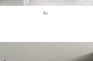 ทรัพย์สถาบันโดย SCB บ้านเดี่ยว เดอะ แพลนท์ อ่อนนุช-มอเตอร์เวย์ (The Plant Onnut-Motorway)