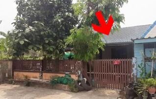 ทรัพย์สถาบันโดย GHB ทาวน์เฮาส์ พุทธมณฑล นครปฐม