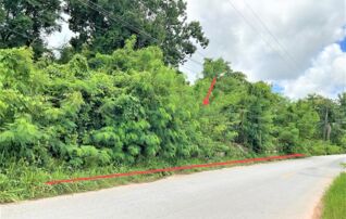 ทรัพย์ธนาคารโดย KASIKORNBANK ที่ดิน ถนนสายแยก ทล.210-บ้านกุดลิงง้อ (อด.2039)