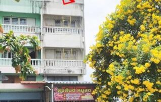 ทรัพย์สถาบันโดย GHB ตึกแถว-อาคารพาณิชย์ ถนนดอนตูม(ทล.375)