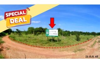 ทรัพย์สถาบันโดย บริษัท บริหารสินทรัพย์สุขุมวิท จำกัด ที่ดิน ถนนสายบ้านหนองบัวขาว-บัานโสกตลับ (ชย.3001)