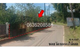 ขายบ้านเดี่ยว ซอยวัดหนองไม้เอก ถนนสุวรรณศร (ทล.33)