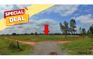 ทรัพย์สถาบันโดย บริษัท บริหารสินทรัพย์สุขุมวิท จำกัด ที่ดิน ถนนสายบ้านหนองบัวขาว-บ้านโสกตลับ (ชย.3001)