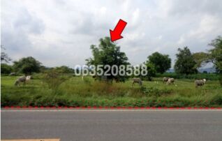 ขายที่ดิน ถนนโคกตูม-ป่าสัก (ทล.3333)