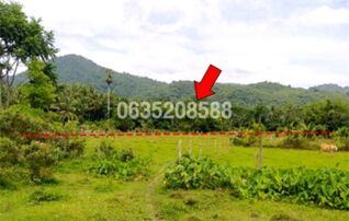ขายที่ดิน ถนนสายบุรี-กะพ้อ (ทล.4060)