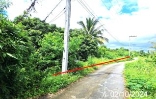 ทรัพย์ธนาคารโดย KASIKORNBANK ที่ดิน ซอย4 บ้านหัวห้วย ถนนสายบ้านหนองผ้าขาว-บ้านหล่ายแก้ว (ลพ.4020)