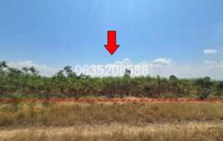 ขายที่ดิน ถนนถนนสุรนารายณ์ (ทล.205)